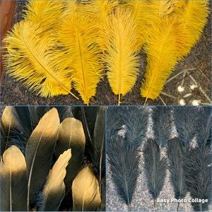 Black and Gold Assorted Ostrich Feathers